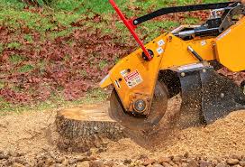 Best Lawn Watering Services  in Laton, CA